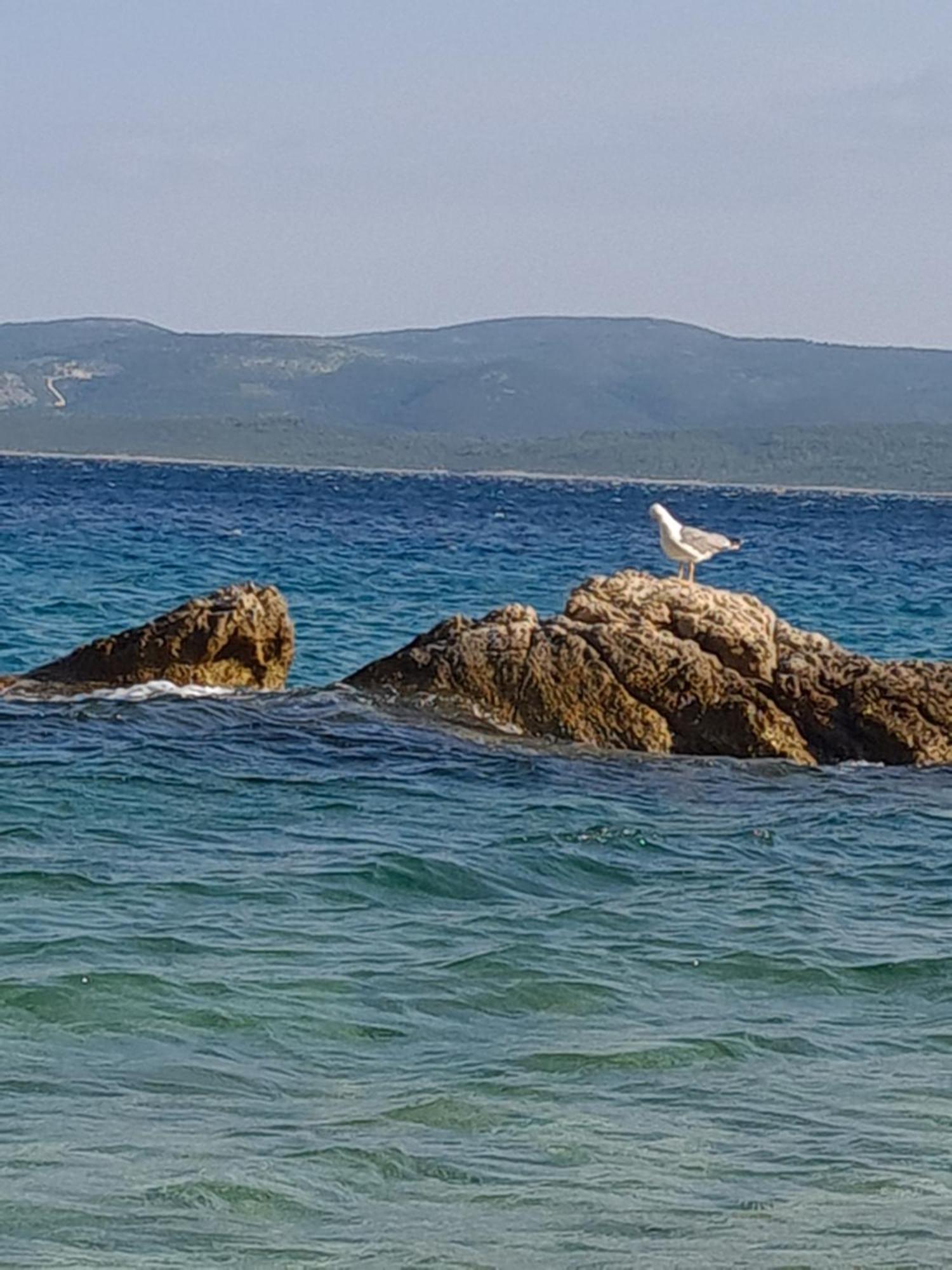 Nel Villa Lokva Rogoznica